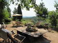 Le jardin